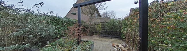 Achtertuin