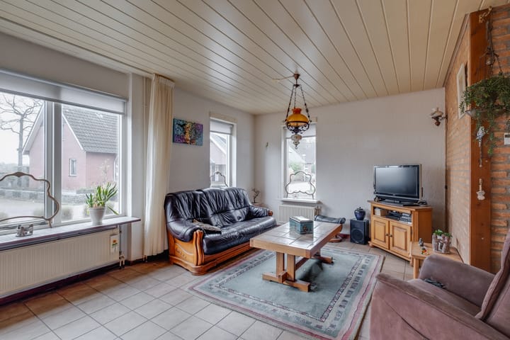 Foto 2 van Borgman 17