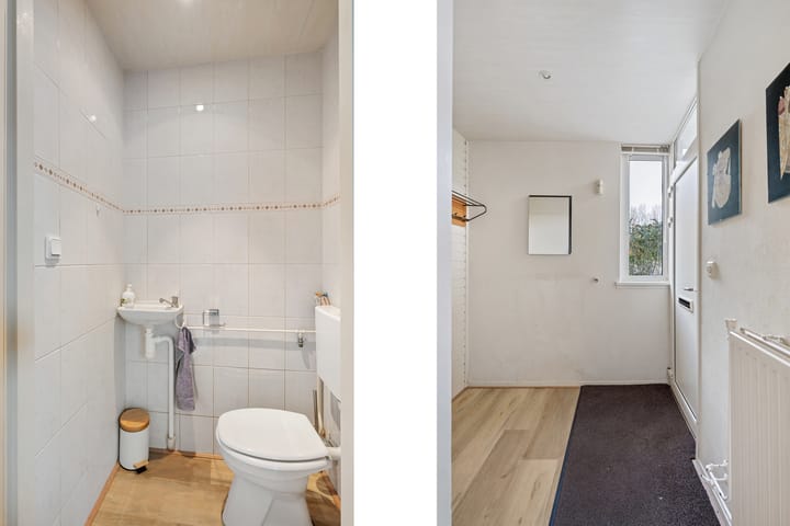 Photo 6 of Bosbes 58