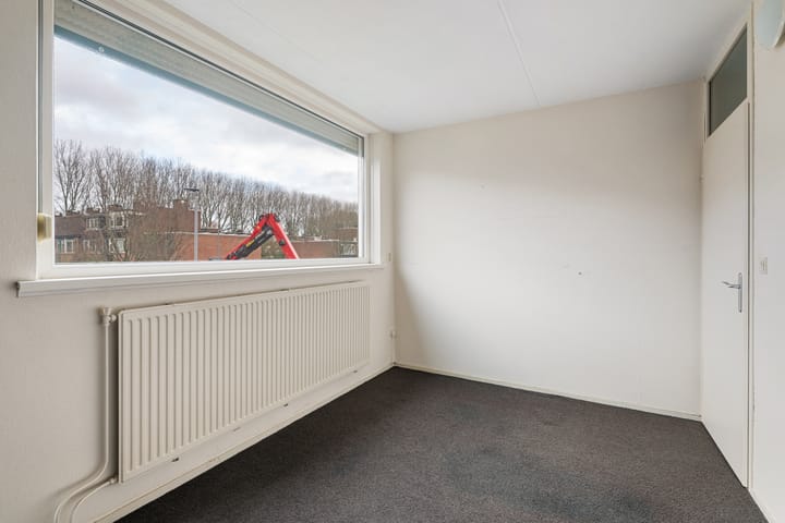 Photo 12 of Bosbes 58