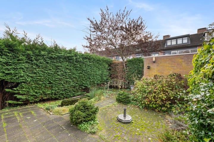 Photo 23 of Bosbes 58