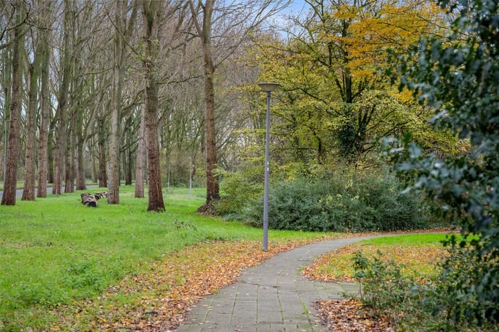 Photo 25 of Bosbes 58