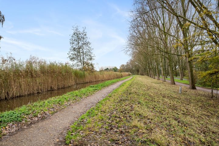 Photo 26 of Bosbes 58