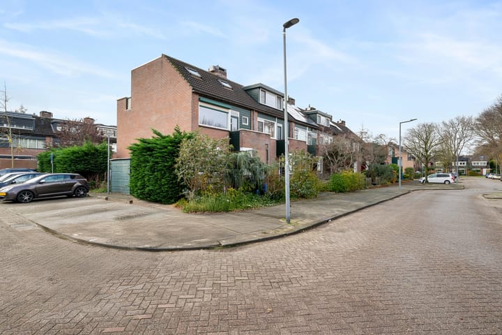 Photo 27 of Bosbes 58