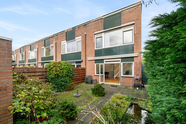 Photo 21 of Bosbes 58