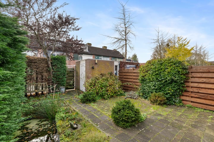 Photo 24 of Bosbes 58