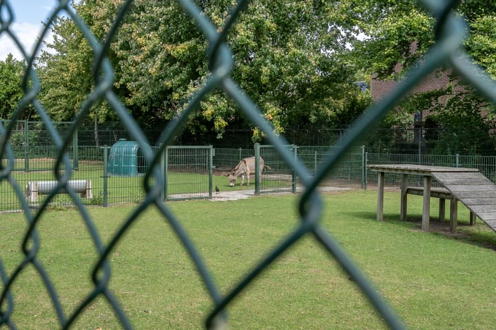 Foto 40 van Visserij 30