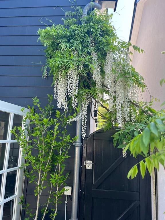 Foto 35 van Melkweg 8