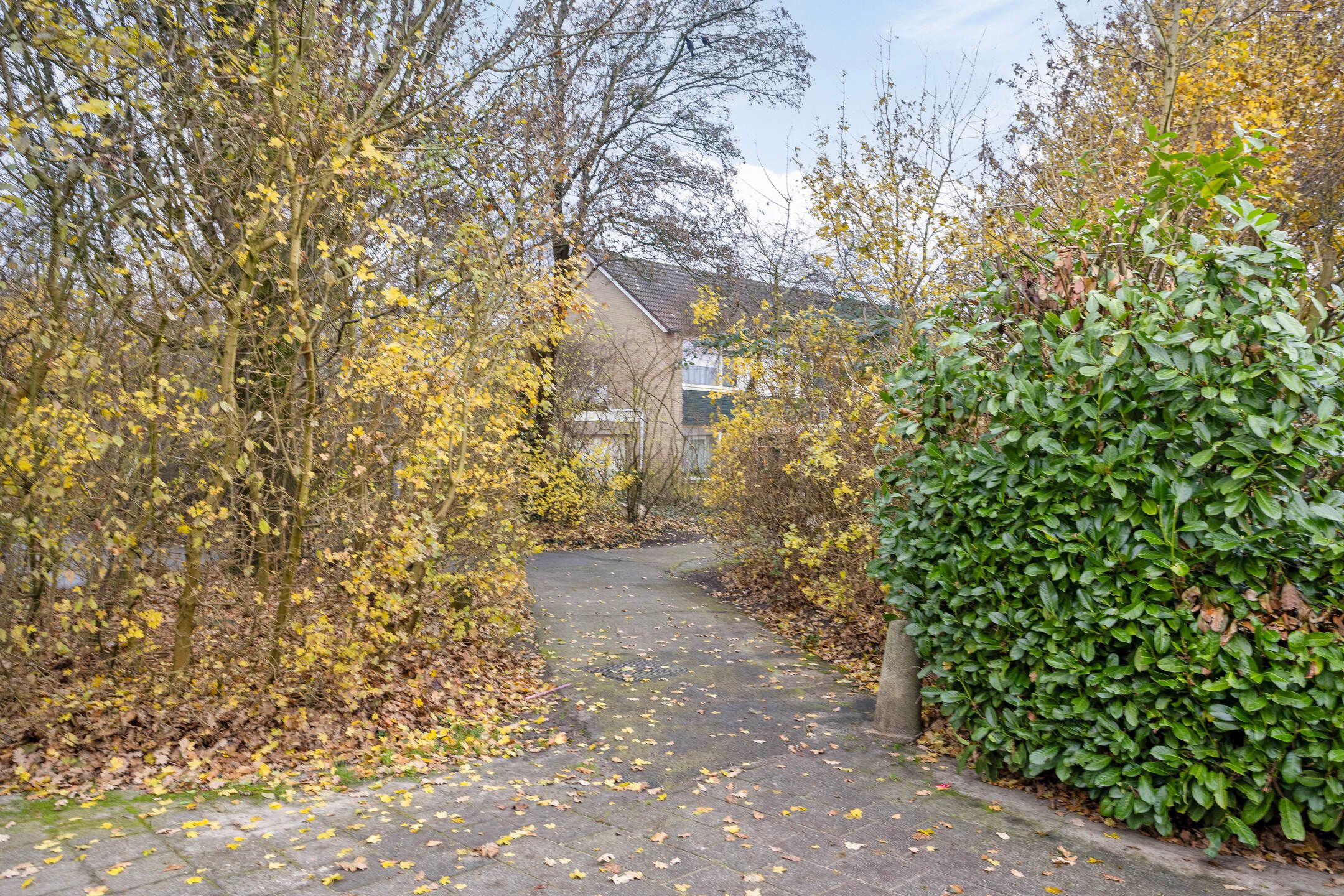 Foto 6 van Beverhof 66