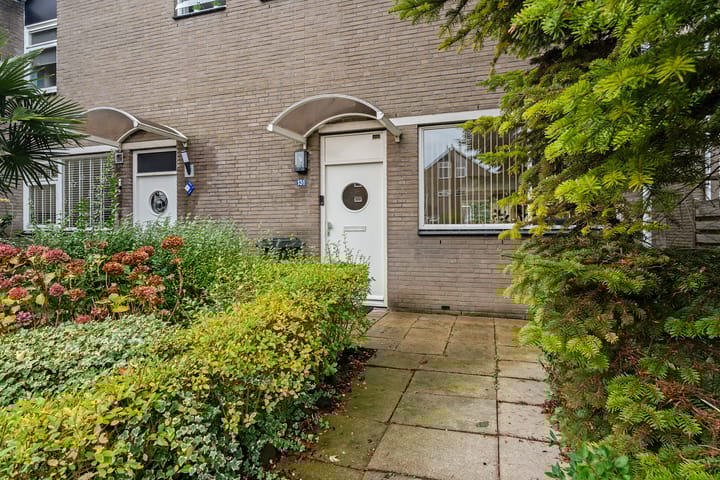 Foto 7 van Tintlaan 131