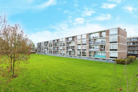 Quadenoord thumbnail