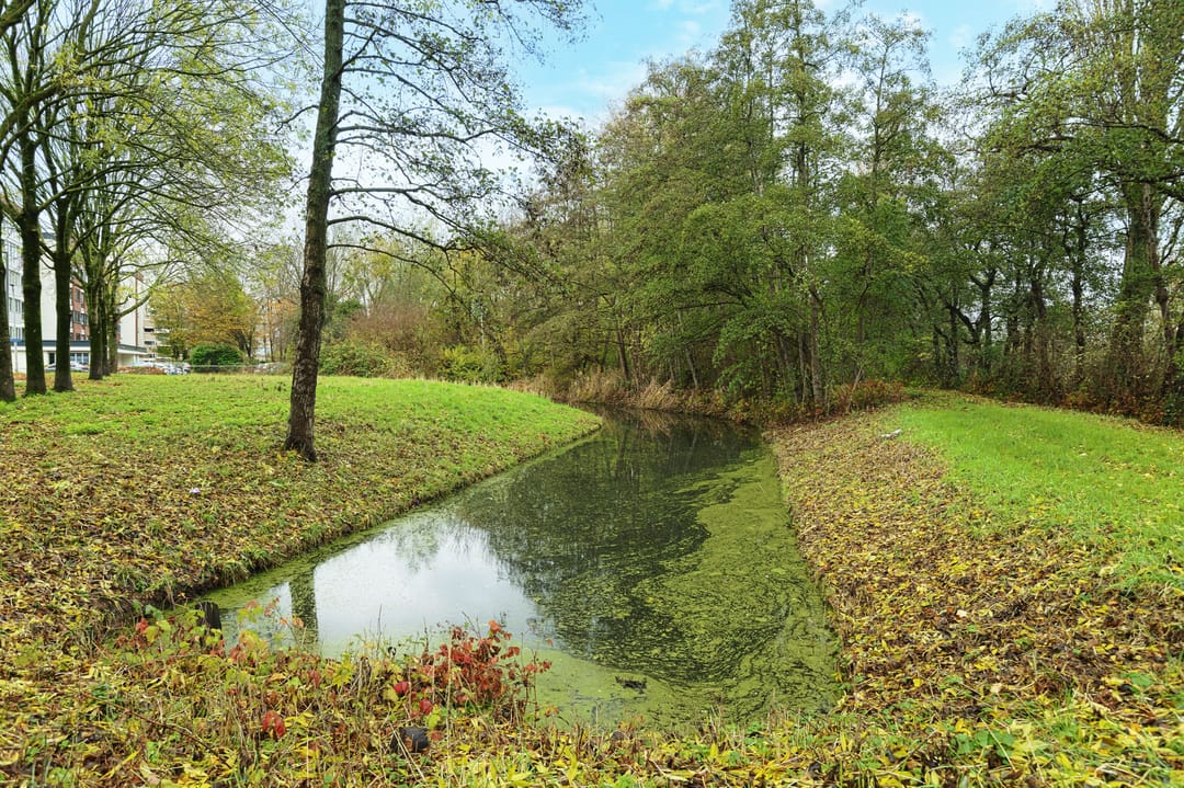 Foto 28 van Quadenoord 24