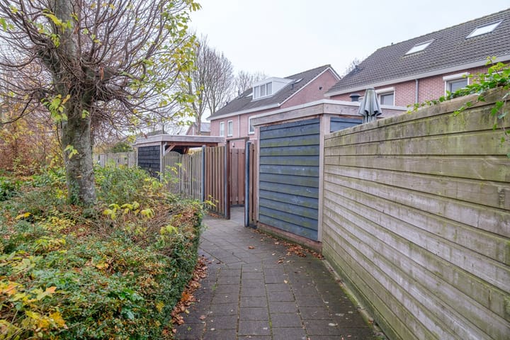 Foto 40 van Koolmees 38