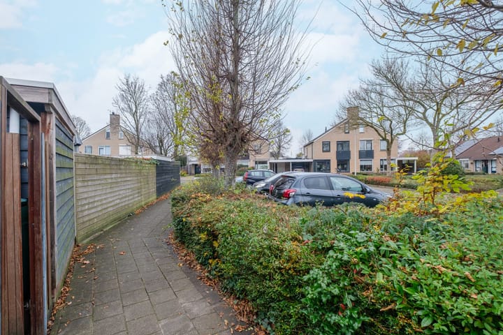 Foto 41 van Koolmees 38