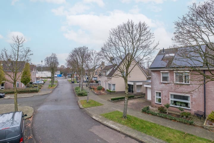 Foto 45 van Koolmees 38