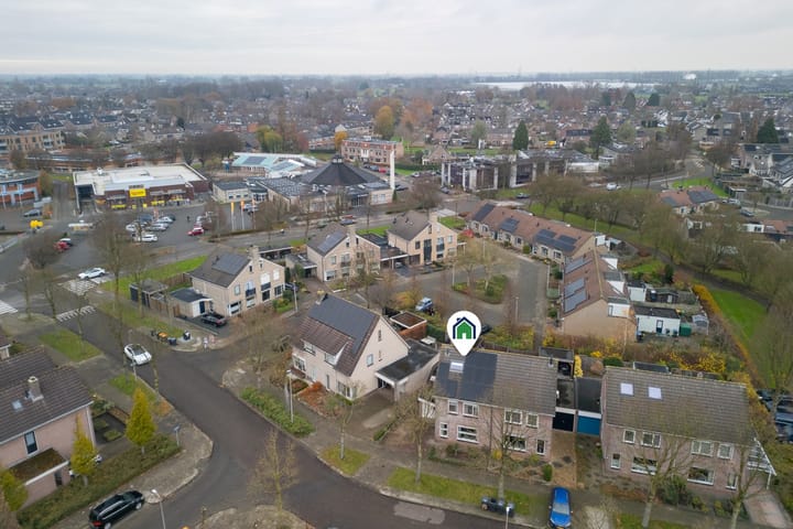 Foto 47 van Koolmees 38