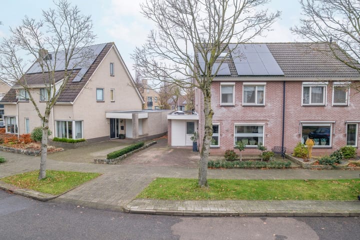 Foto 50 van Koolmees 38