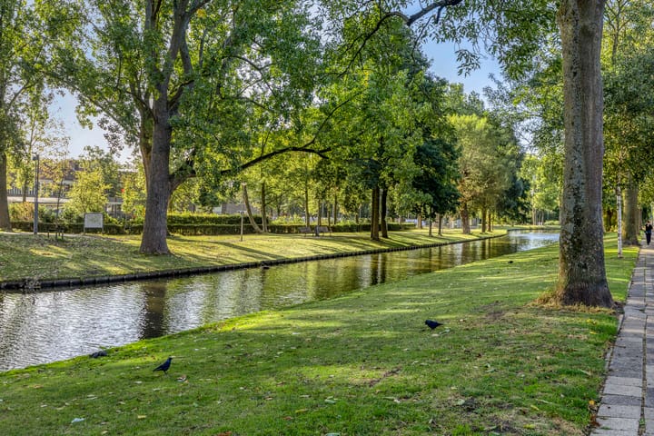 Foto 21 van Korhaanstraat 119-A