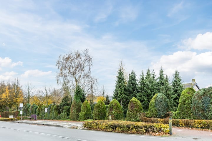 Foto 37 van Eindsestraat 65