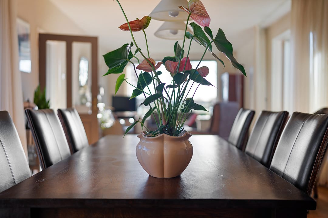 Photo 17 of Vaart NZ 104