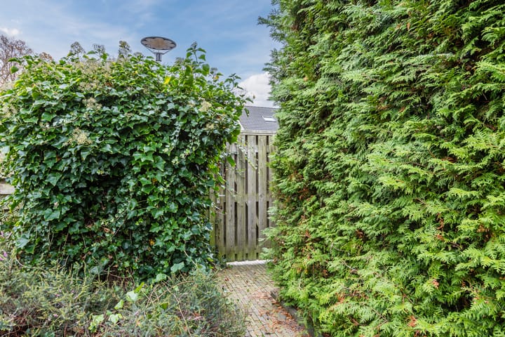 Photo 32 of Hoogven 1