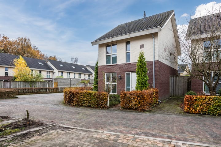 Photo 38 of Hoogven 1