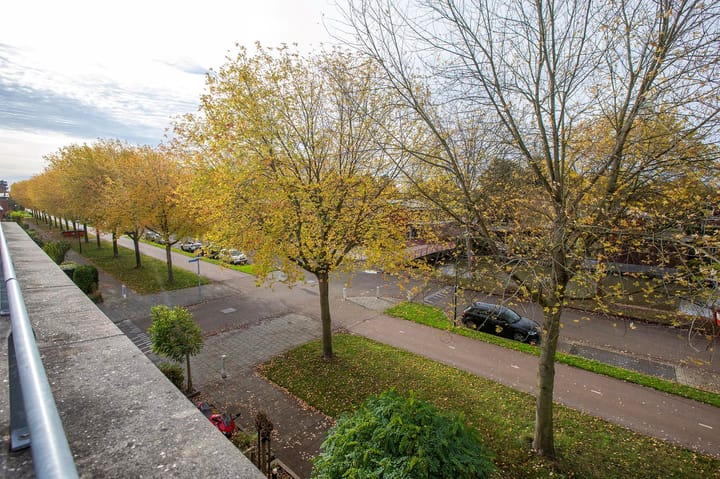 Foto 54 van Bergstraat 25