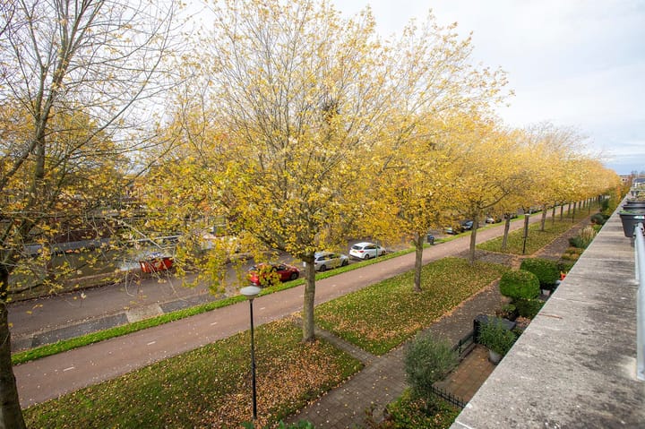 Foto 55 van Bergstraat 25