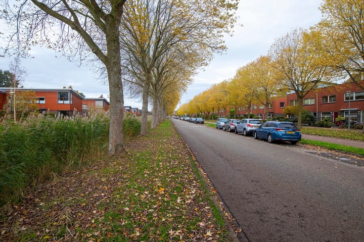 Foto 59 van Bergstraat 25