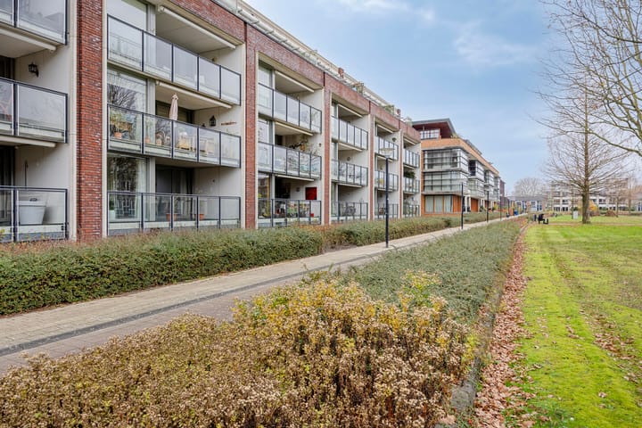 Foto 2 van De Meesterproef 20