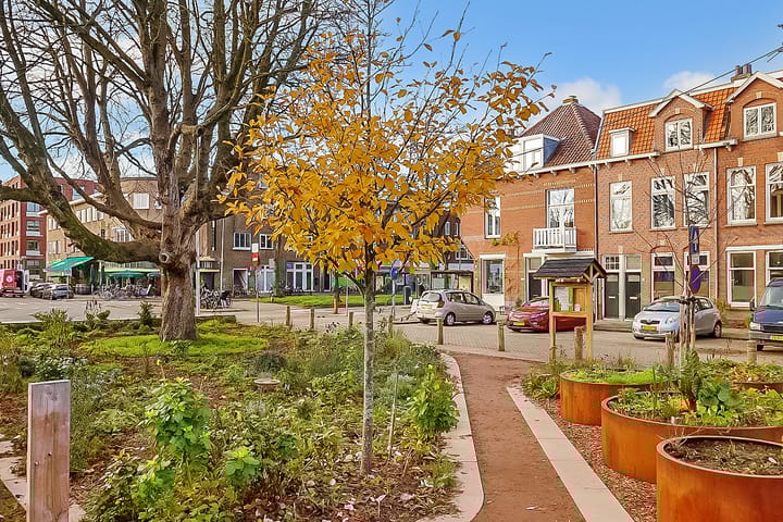 Foto 46 van Spieghelstraat 24