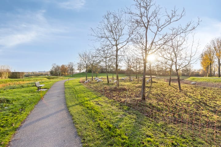 Foto 44 van Griffioenstraat 196