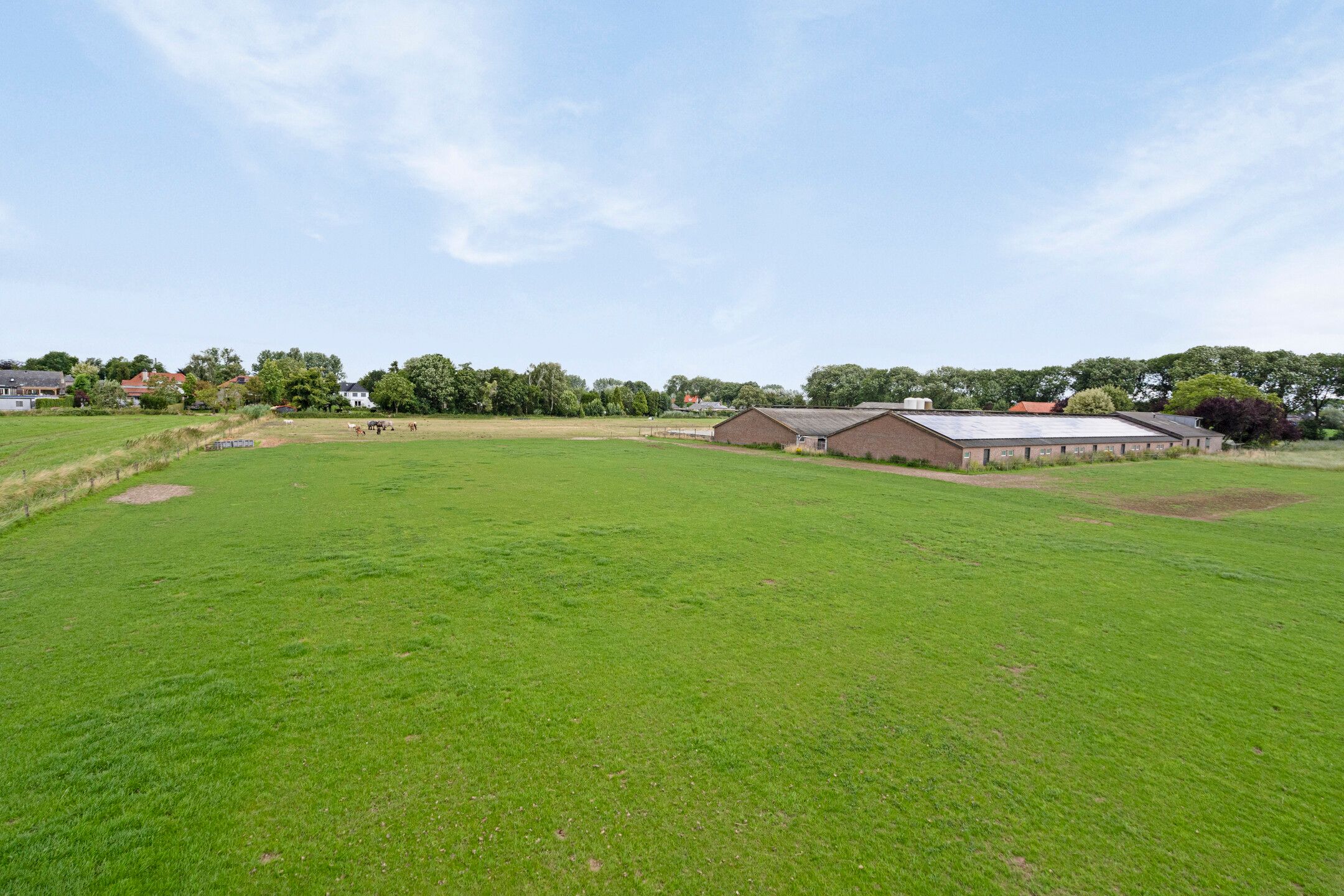 Foto 3 van Wijlseweg