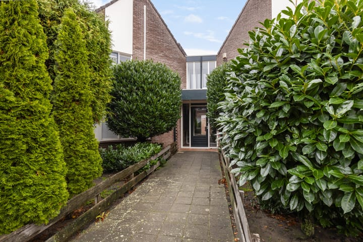 Foto 9 van Frans Halsstraat 46