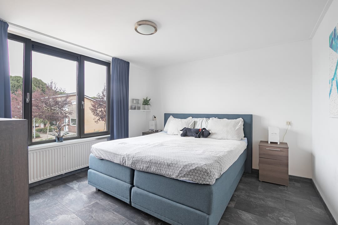 Foto 8 van Hellebaardruwe 19