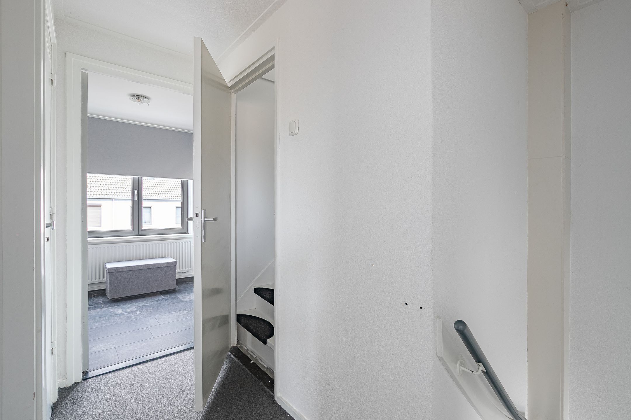 Foto 12 van Hellebaardruwe 19