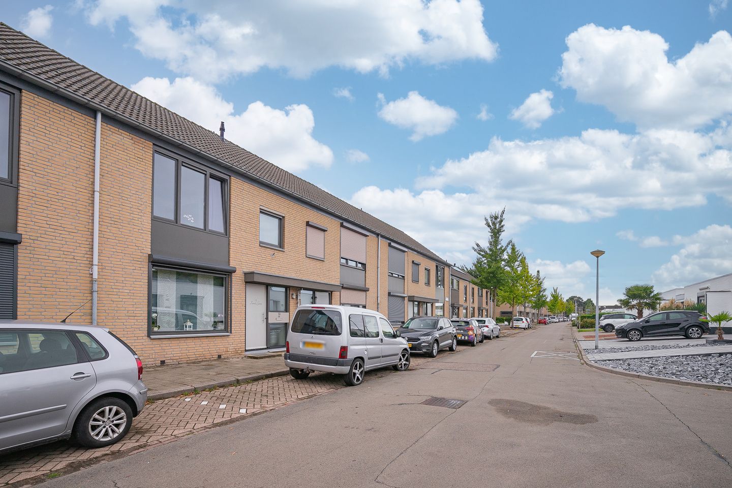 Foto 19 van Hellebaardruwe 19