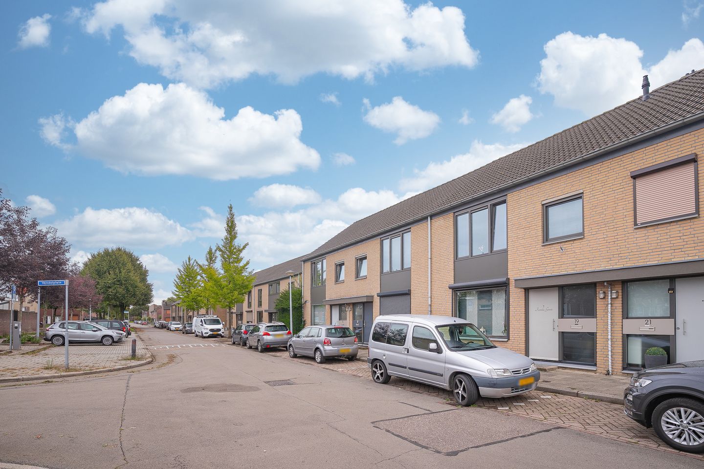 Foto 20 van Hellebaardruwe 19