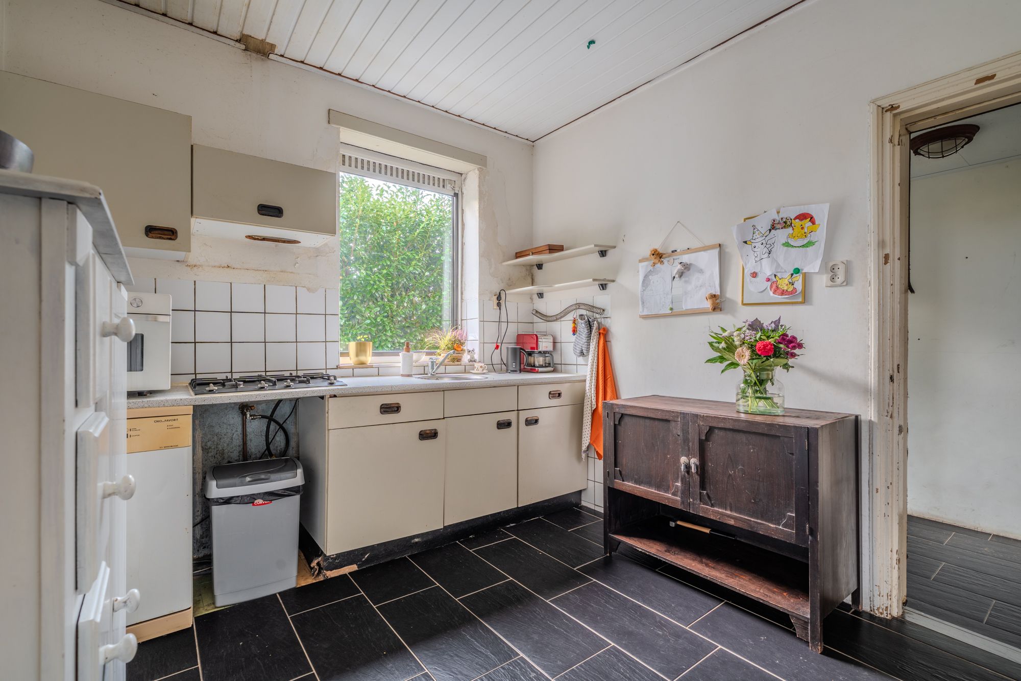 Foto 21 van Zodenpandweg 16