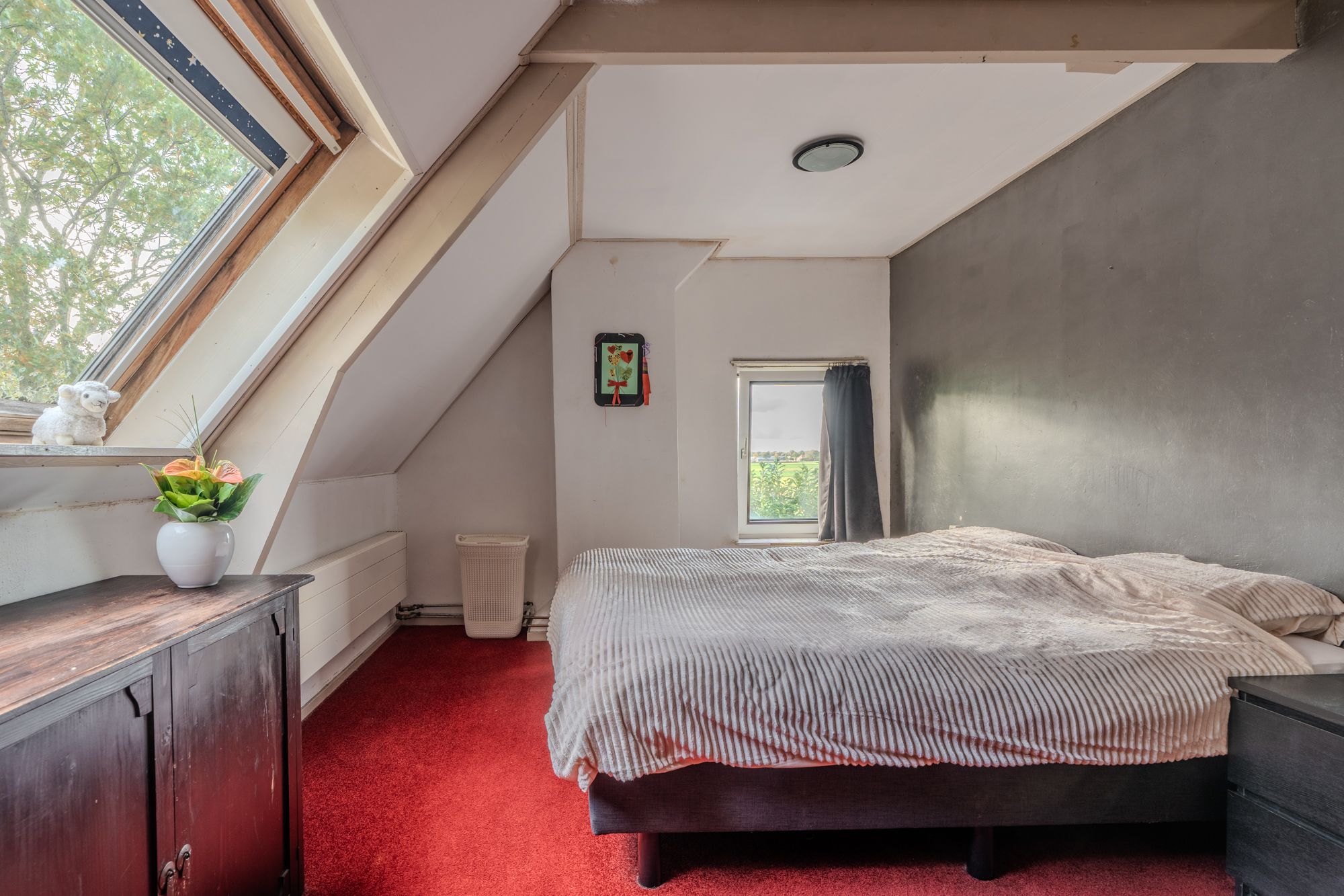 Foto 36 van Zodenpandweg 16