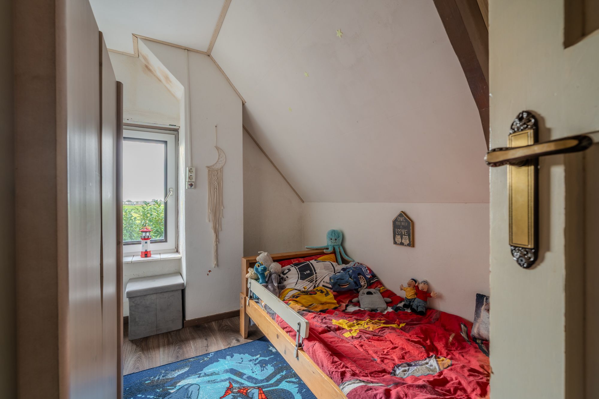 Foto 39 van Zodenpandweg 16