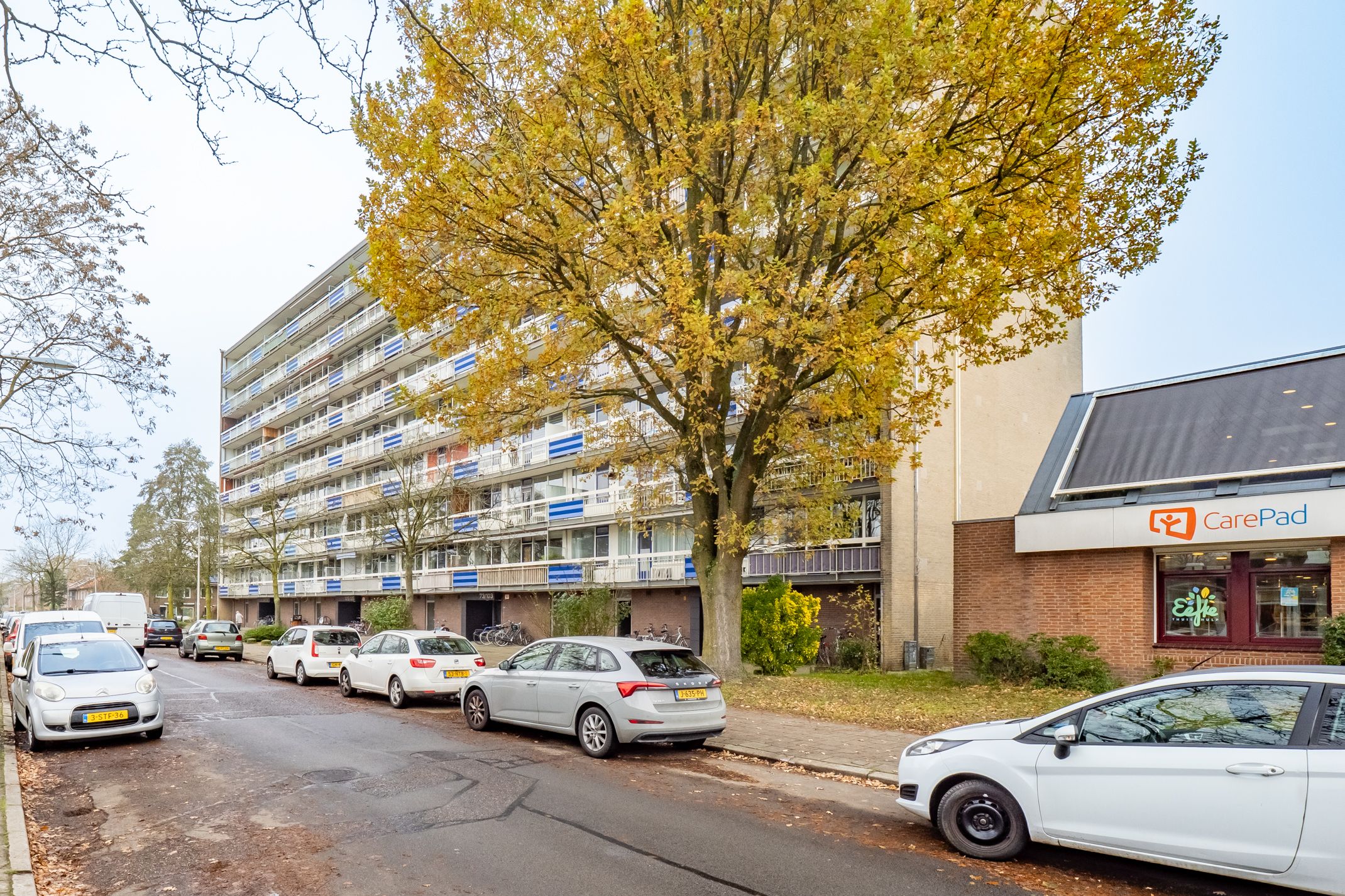 Photo 30 of Wiekslag 69