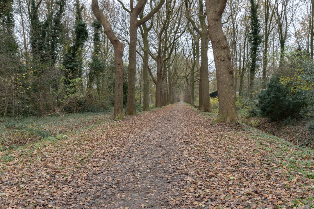 Foto 43 van Korenmolen 1