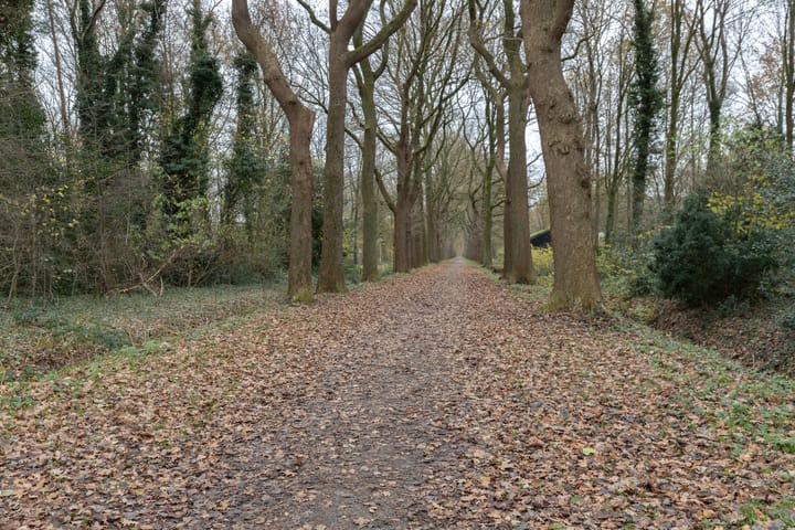 Photo 43 of Korenmolen 1