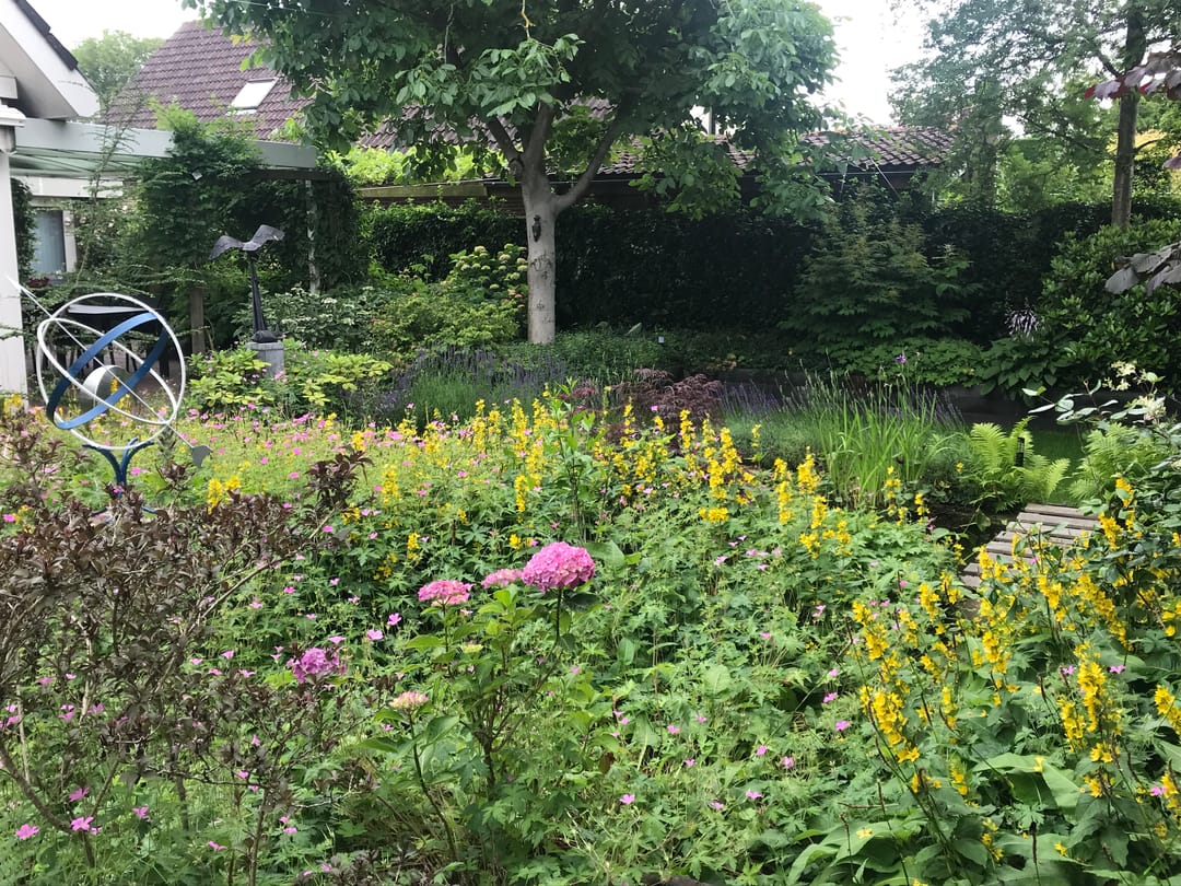 Foto 61 van Molenbuurt 18