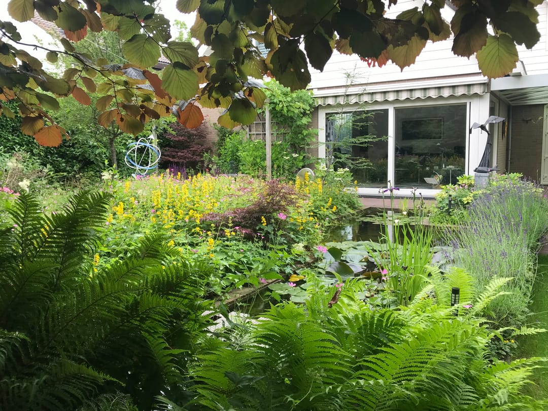 Foto 62 van Molenbuurt 18