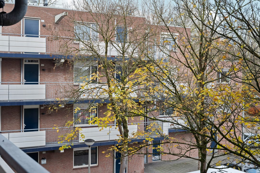 Photo 26 of Terneuzenstraat 131