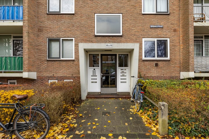 Photo 5 of Spieghelstraat 115