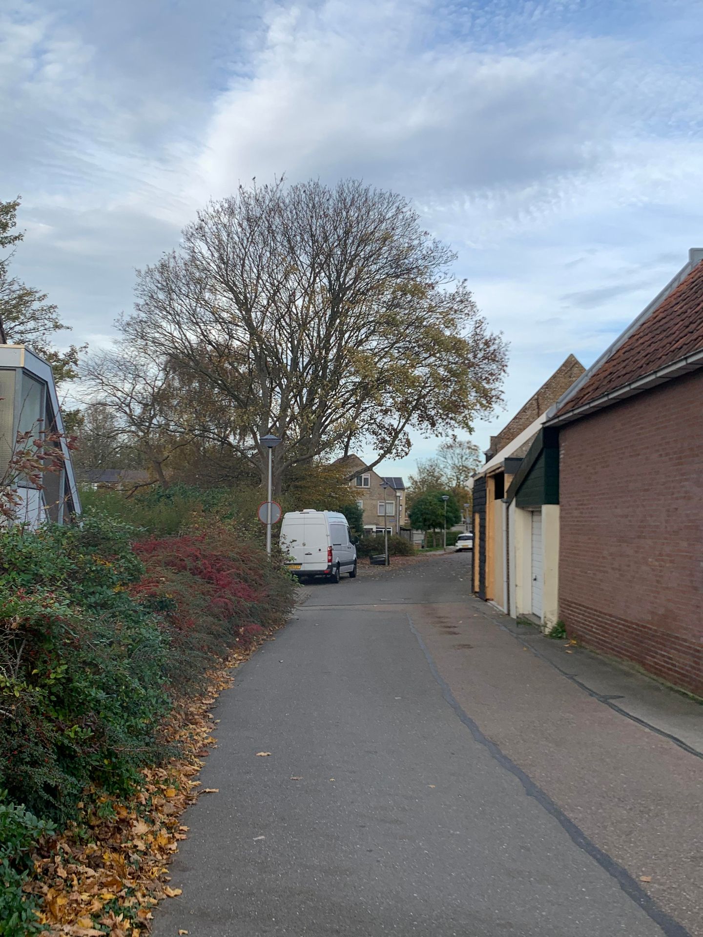 Bekijk foto 5 van Dorpsstraat 1