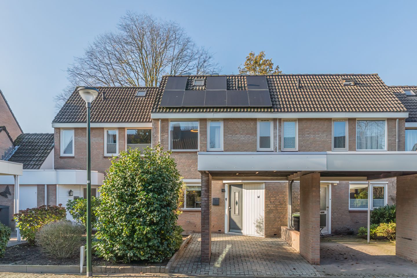 Foto 1 van Dalkruid 34